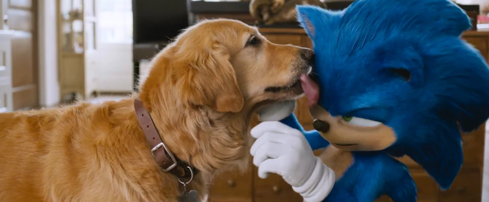 sonic and dog